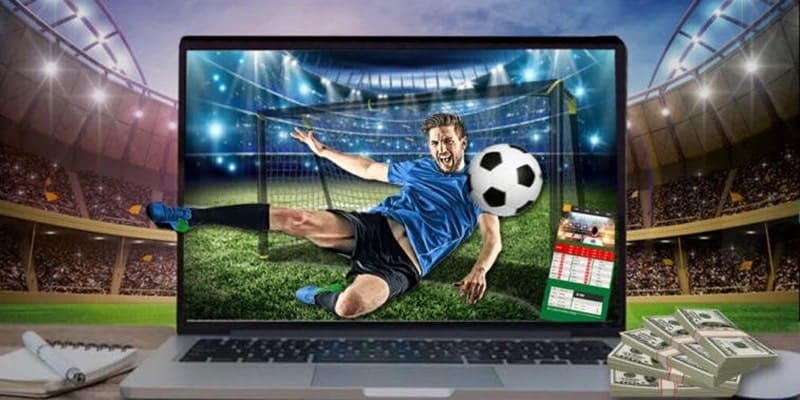 Tỷ lệ bóng đá: Khái niệm và các loại kèo cơ bản năm 2024